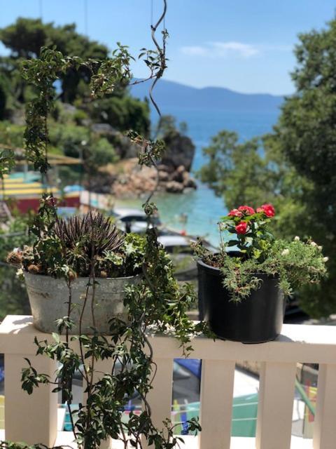 Villa Bosac Gradac  Zewnętrze zdjęcie